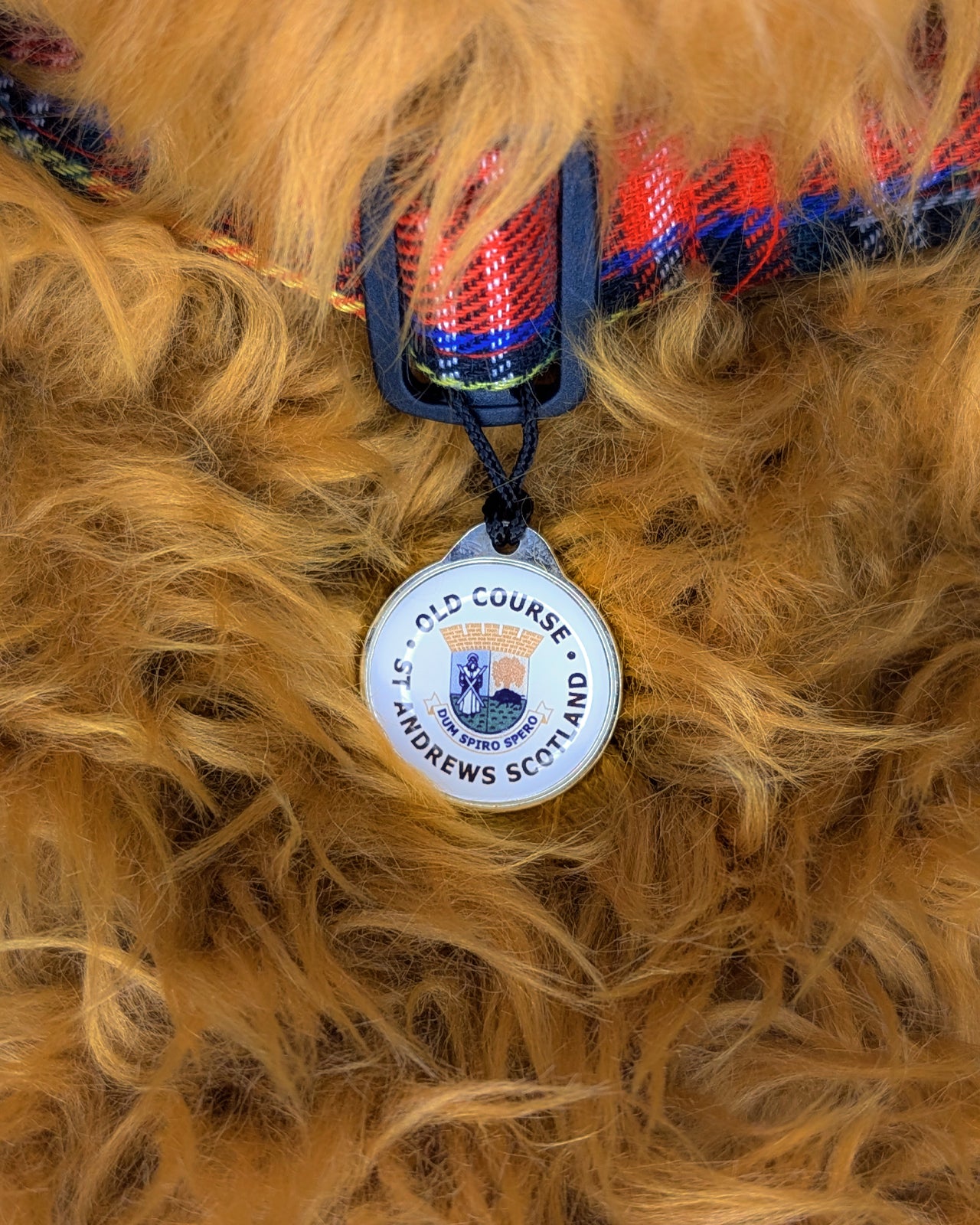 St Andrews Old Course Official Highland Cow – Driver Headcover