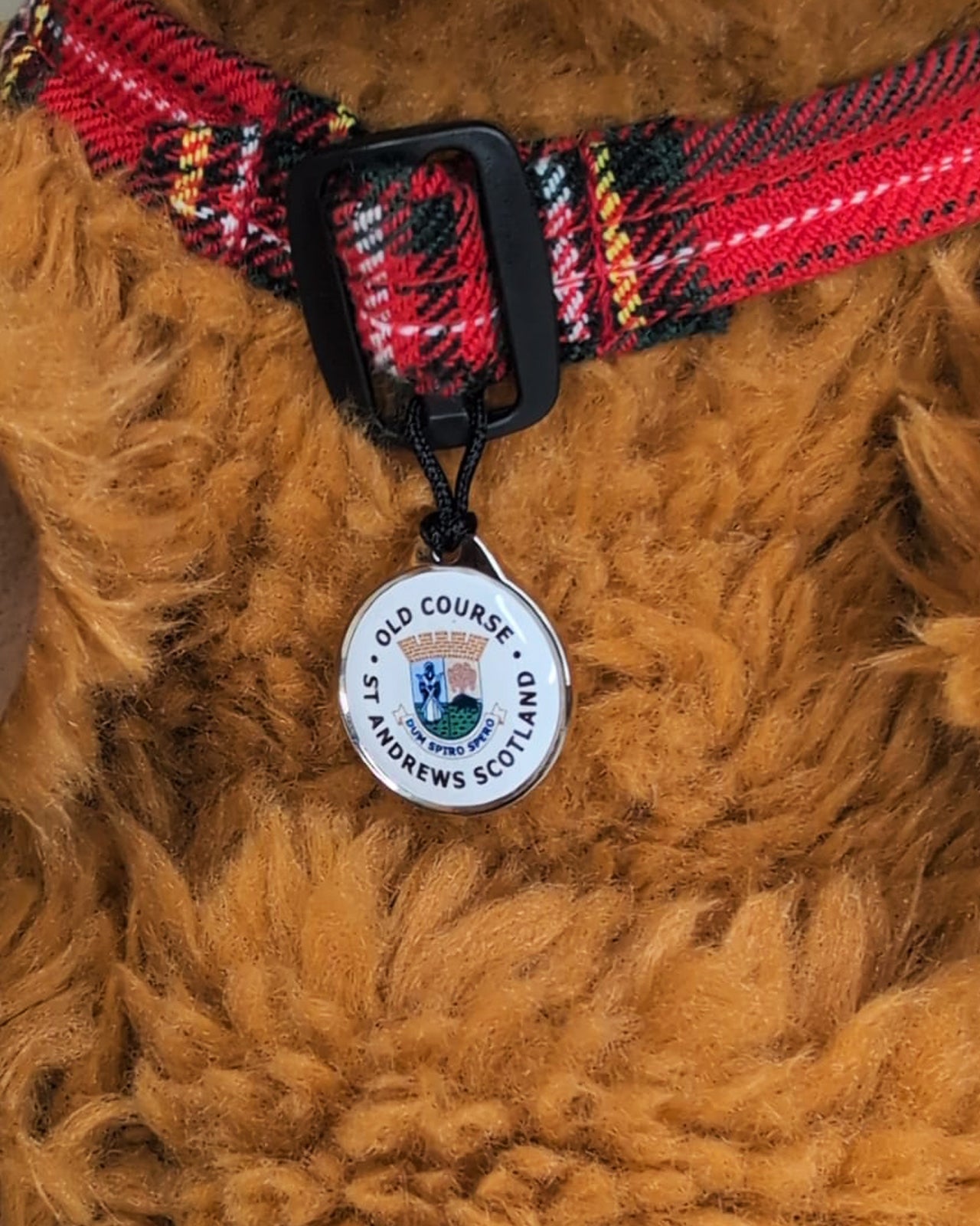 St Andrews Old Course Official Highland Cow – Driver Headcover