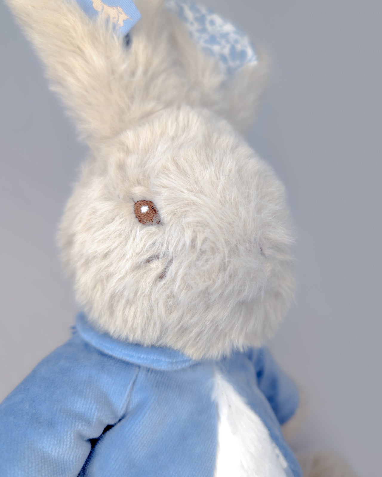 Peter Rabbit