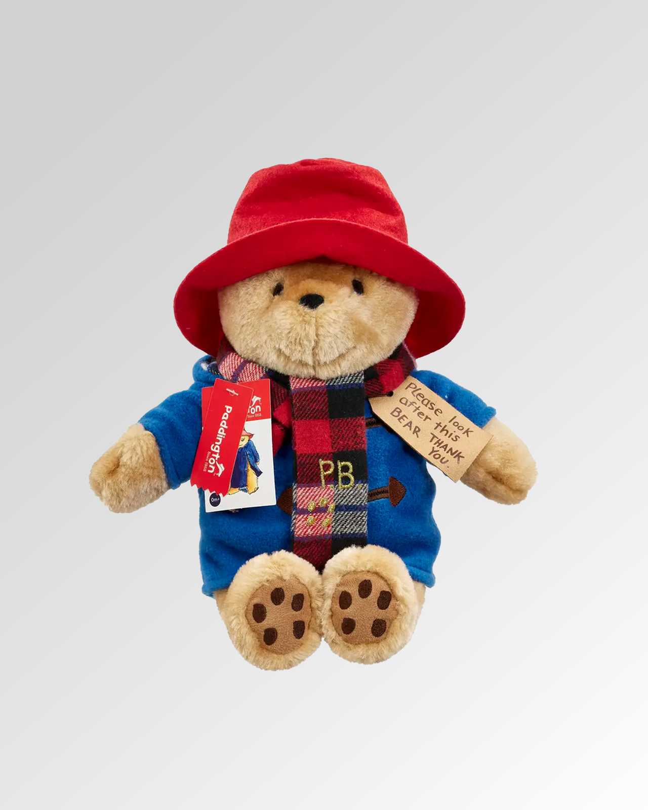 Cuddly Paddington with Scarf